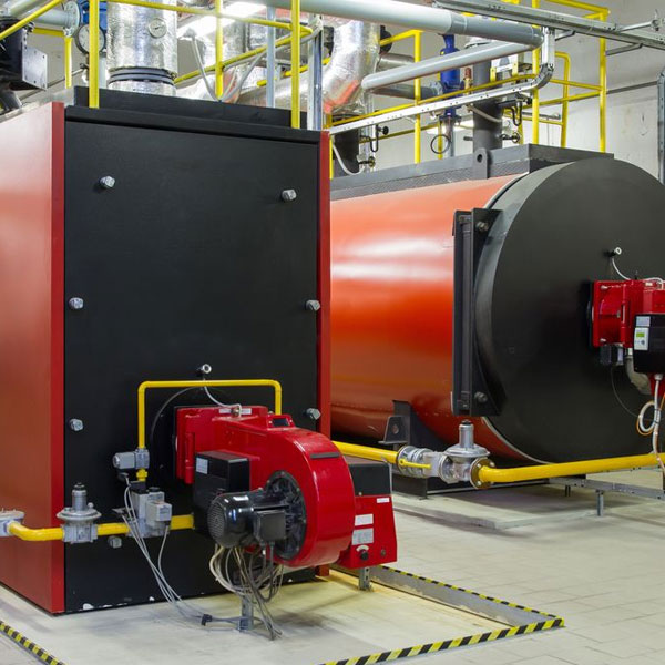 Industrial Steam Boiler for Equipment Sterilization