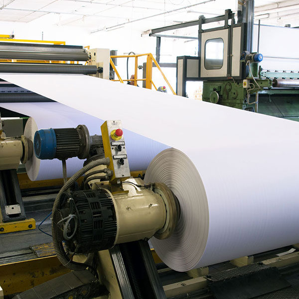 Paper & Pulp Industry