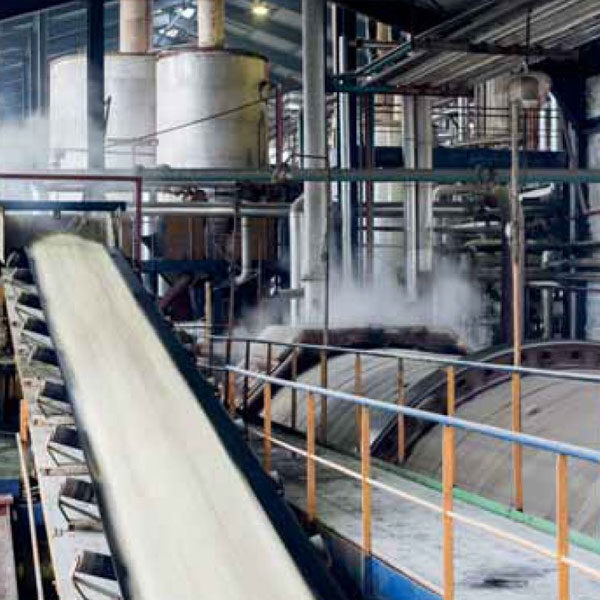 Sugar Production